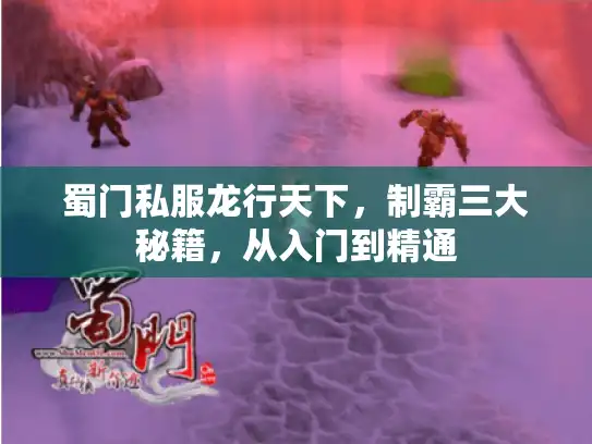 蜀门私服龙行天下，制霸三大秘籍，从入门到精通