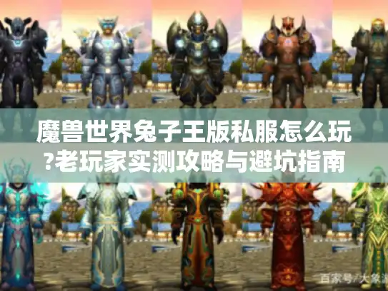 魔兽世界兔子王版私服怎么玩?老玩家实测攻略与避坑指南