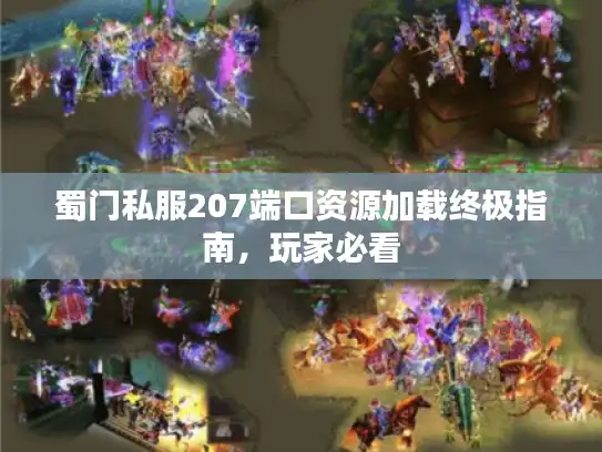 蜀门私服207端口资源加载终极指南，玩家必看
