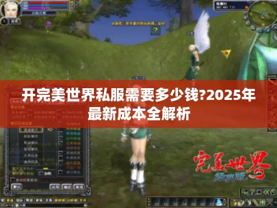 开完美世界私服需要多少钱?2025年最新成本全解析