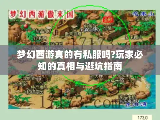 梦幻西游真的有私服吗?玩家必知的真相与避坑指南
