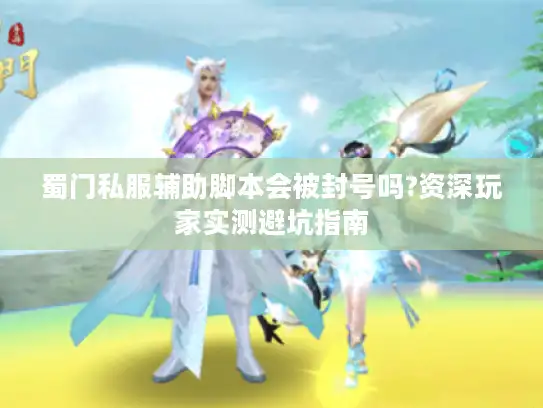 蜀门私服辅助脚本会被封号吗?资深玩家实测避坑指南