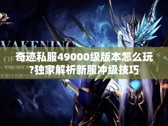 奇迹私服49000级版本怎么玩?独家解析新服冲级技巧 奇迹私服49000级版本怎么玩?独家解析新服冲级技巧