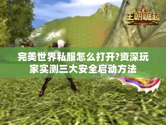 完美世界私服怎么打开?资深玩家实测三大安全启动方法