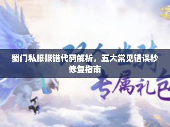 蜀门私服报错代码解析，五大常见错误秒修复指南