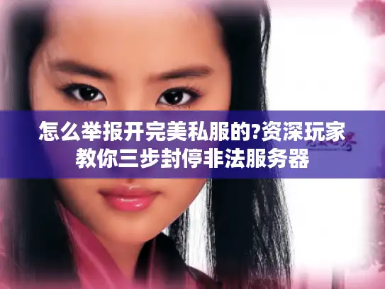 怎么举报开完美私服的?资深玩家教你三步封停非法服务器
