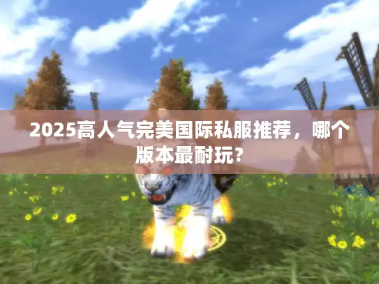 2025高人气完美国际私服推荐,哪个版本最耐玩? 2025高人气完美国际私服推荐,哪个版本最耐玩?