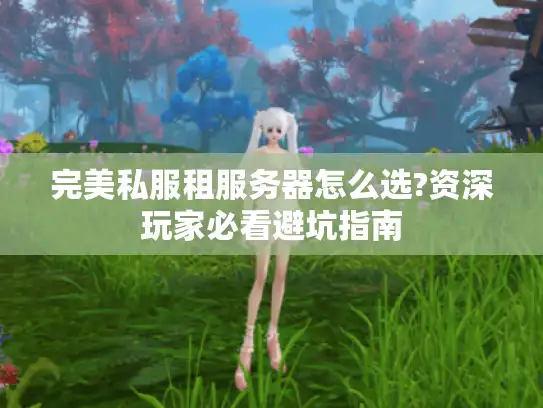 完美私服租服务器怎么选?资深玩家必看避坑指南
