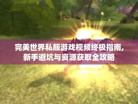 完美世界私服游戏视频终极指南,新手避坑与资源获取全攻略