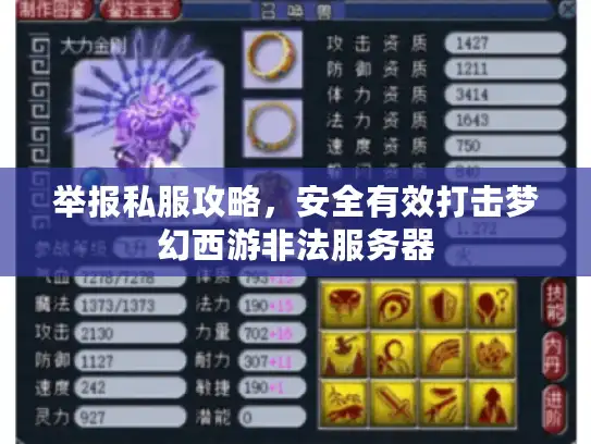 举报私服攻略，安全有效打击梦幻西游非法服务器
