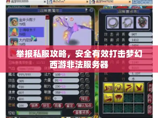 举报私服攻略，安全有效打击梦幻西游非法服务器
