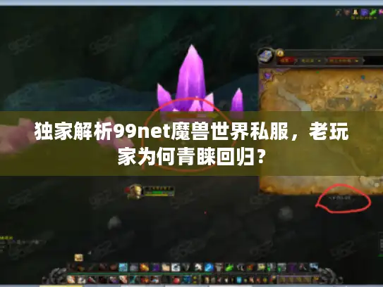 独家解析99net魔兽世界私服,老玩家为何青睐回归? 独家解析99net魔兽世界私服,老玩家为何青睐回归?