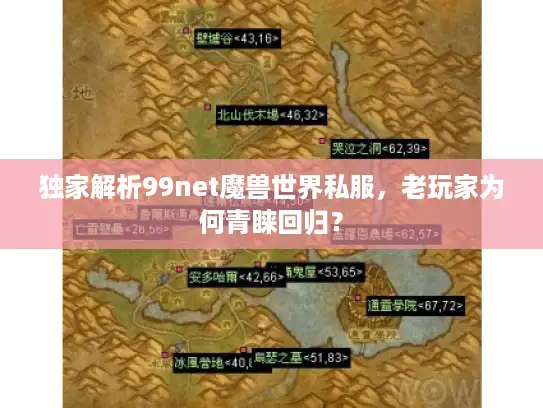 独家解析99net魔兽世界私服,老玩家为何青睐回归? 独家解析99net魔兽世界私服,老玩家为何青睐回归?