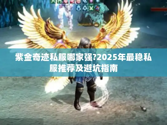 紫金奇迹私服哪家强?2025年最稳私服推荐及避坑指南
