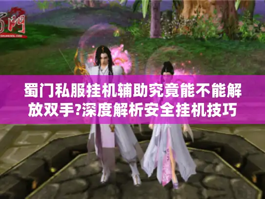 蜀门私服挂机辅助究竟能不能解放双手?深度解析安全挂机技巧