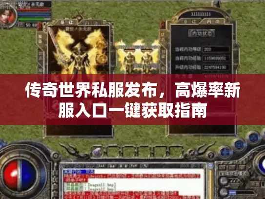 传奇世界私服发布，高爆率新服入口一键获取指南