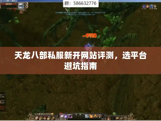 天龙八部私服新开网站评测,选平台避坑指南 天龙八部私服新开网站评测,选平台避坑指南