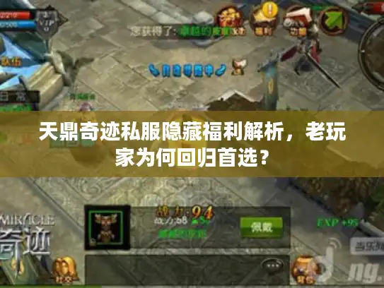 天鼎奇迹私服隐藏福利解析，老玩家为何回归首选？