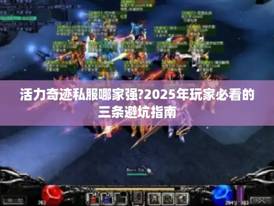 活力奇迹私服哪家强?2025年玩家必看的三条避坑指南