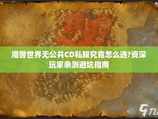 魔兽世界无公共CD私服究竟怎么选?资深玩家亲测避坑指南
