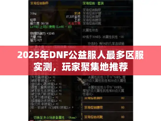2025年DNF公益服人最多区服实测，玩家聚集地推荐