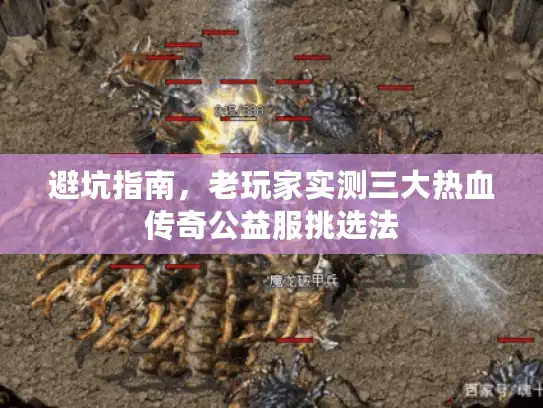 避坑指南，老玩家实测三大热血传奇公益服挑选法