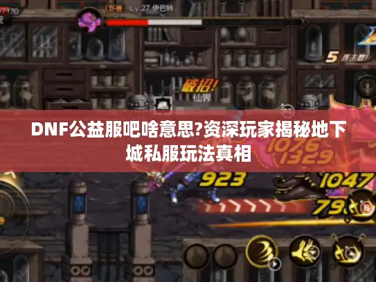 DNF公益服吧啥意思?资深玩家揭秘地下城私服玩法真相