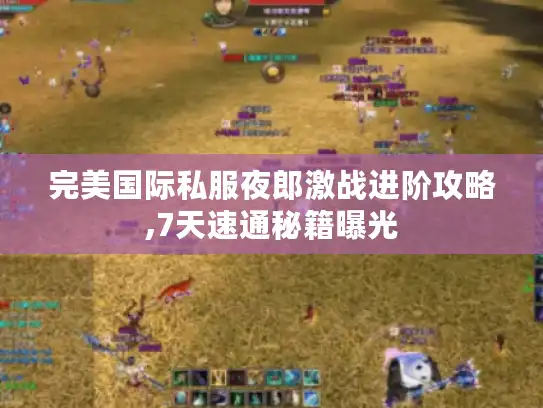 完美国际私服夜郎激战进阶攻略,7天速通秘籍曝光