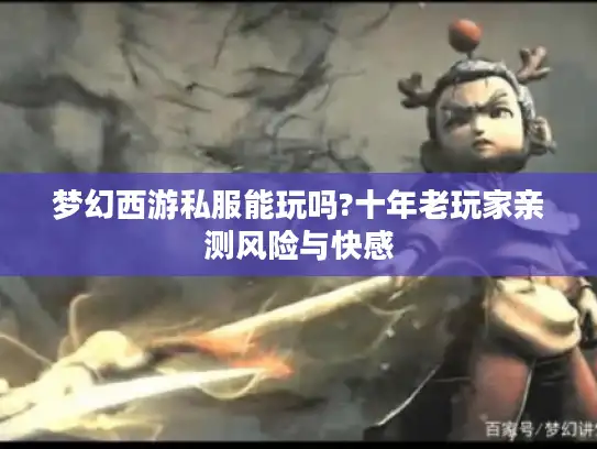 梦幻西游私服能玩吗?十年老玩家亲测风险与快感