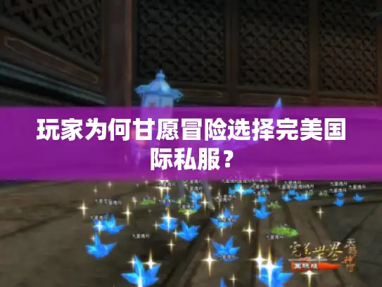 玩家为何甘愿冒险选择完美国际私服？