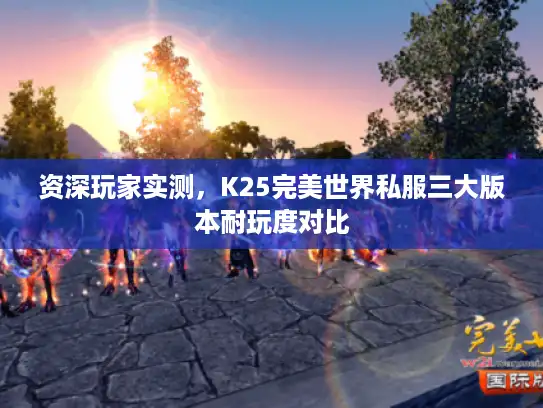 资深玩家实测，K25完美世界私服三大版本耐玩度对比