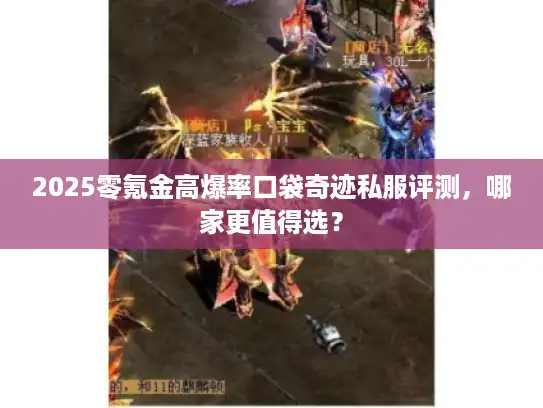 2025零氪金高爆率口袋奇迹私服评测，哪家更值得选？