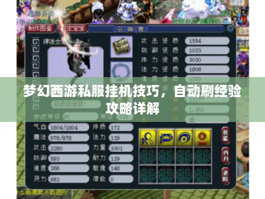 梦幻西游私服挂机技巧,自动刷经验攻略详解 梦幻西游私服挂机技巧,自动刷经验攻略详解