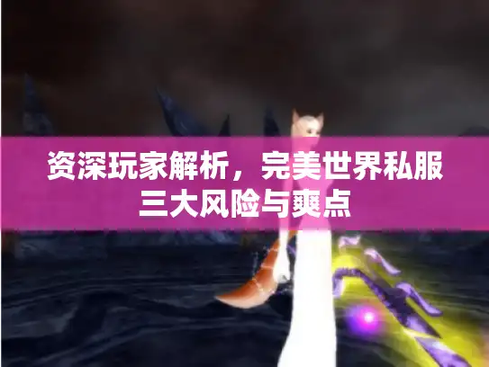 资深玩家解析，完美世界私服三大风险与爽点