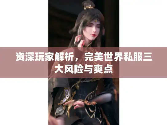 资深玩家解析，完美世界私服三大风险与爽点