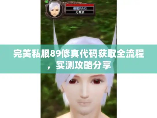 完美私服89修真代码获取全流程,实测攻略分享 完美私服89修真代码获取全流程,实测攻略分享