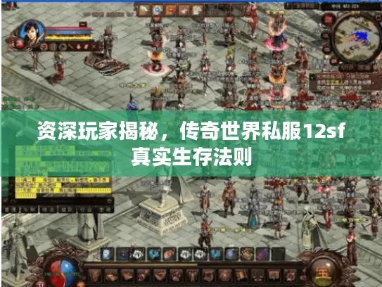 资深玩家揭秘，传奇世界私服12sf真实生存法则