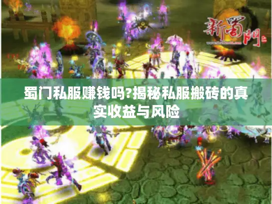 蜀门私服赚钱吗?揭秘私服搬砖的真实收益与风险