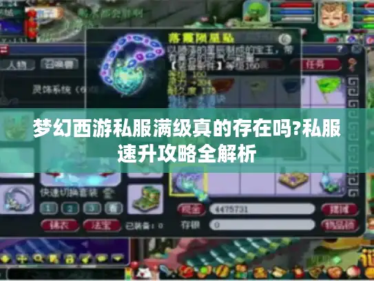 梦幻西游私服满级真的存在吗?私服速升攻略全解析