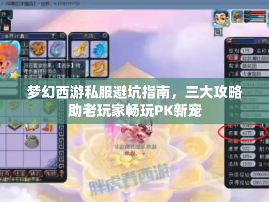 梦幻西游私服避坑指南，三大攻略助老玩家畅玩PK新宠