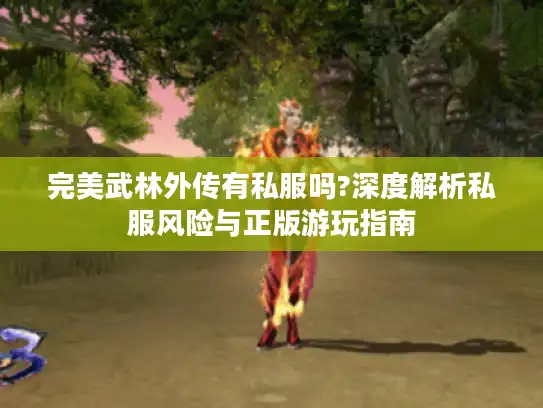 完美武林外传有私服吗?深度解析私服风险与正版游玩指南