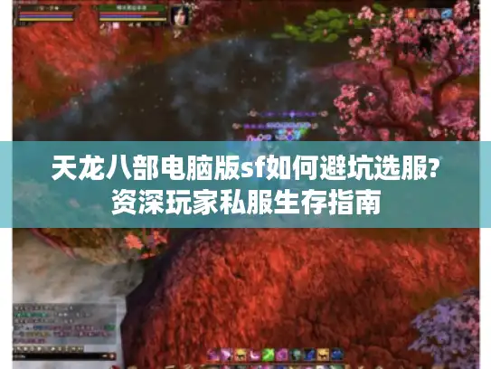 天龙八部电脑版sf如何避坑选服?资深玩家私服生存指南