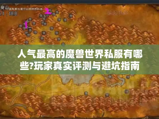 人气最高的魔兽世界私服有哪些?玩家真实评测与避坑指南 人气最高的魔兽世界私服有哪些?玩家真实评测与避坑指南