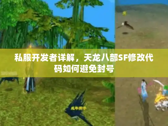 私服开发者详解,天龙八部SF修改代码如何避免封号 私服开发者详解,天龙八部SF修改代码如何避免封号