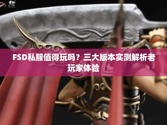 FSD私服值得玩吗？三大版本实测解析老玩家体验
