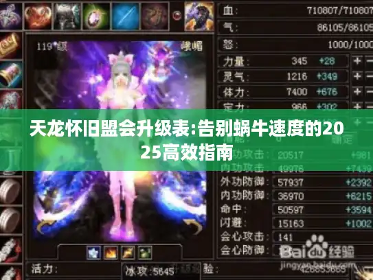 天龙怀旧盟会升级表:告别蜗牛速度的2025高效指南