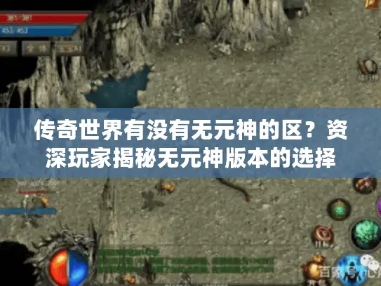 传奇世界有没有无元神的区？资深玩家揭秘无元神版本的选择