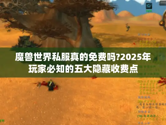 魔兽世界私服真的免费吗?2025年玩家必知的五大隐藏收费点 魔兽世界私服真的免费吗?2025年玩家必知的五大隐藏收费点