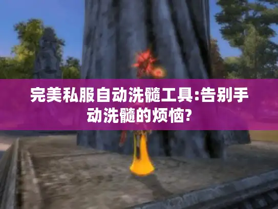 完美私服自动洗髓工具:告别手动洗髓的烦恼?