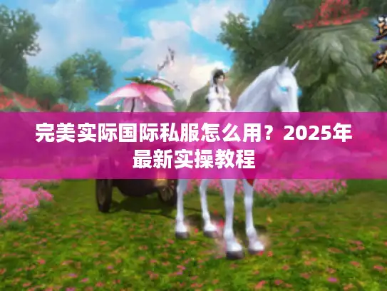 完美实际国际私服怎么用？2025年最新实操教程
